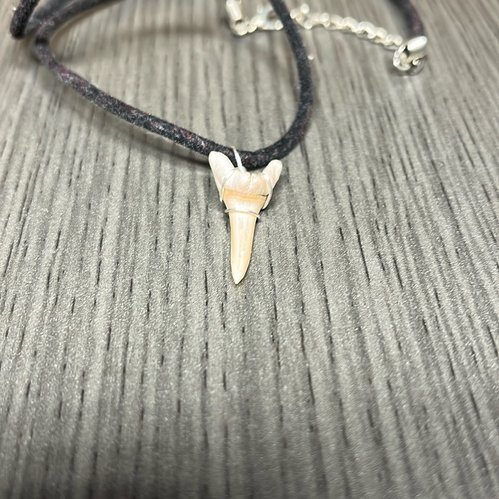 Shark tooth necklace